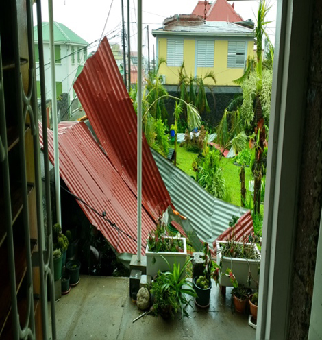 View of the Brothers’ yard from dining room morning after Maria