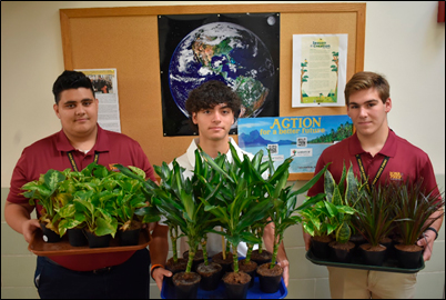 Iona Prep’s ACTION students have put plants in each of the school’s classrooms to purify the air and demonstrate their commitment to sustainability.